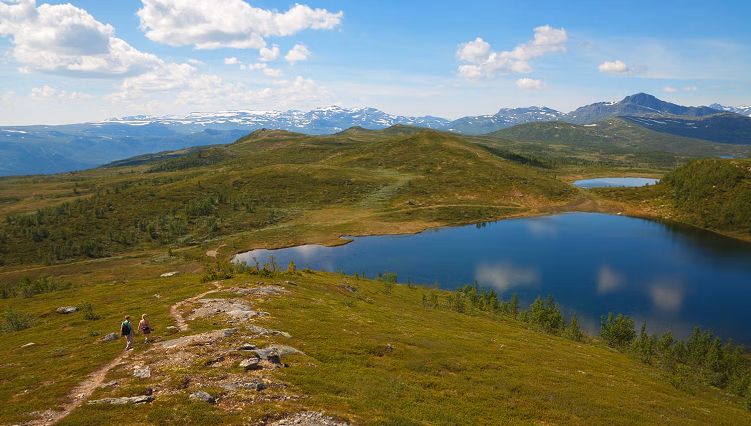 Aussicht vom Melbysfjellet in Richtung Knausehøgdene mit dem Bitihorn im Hintergrund.