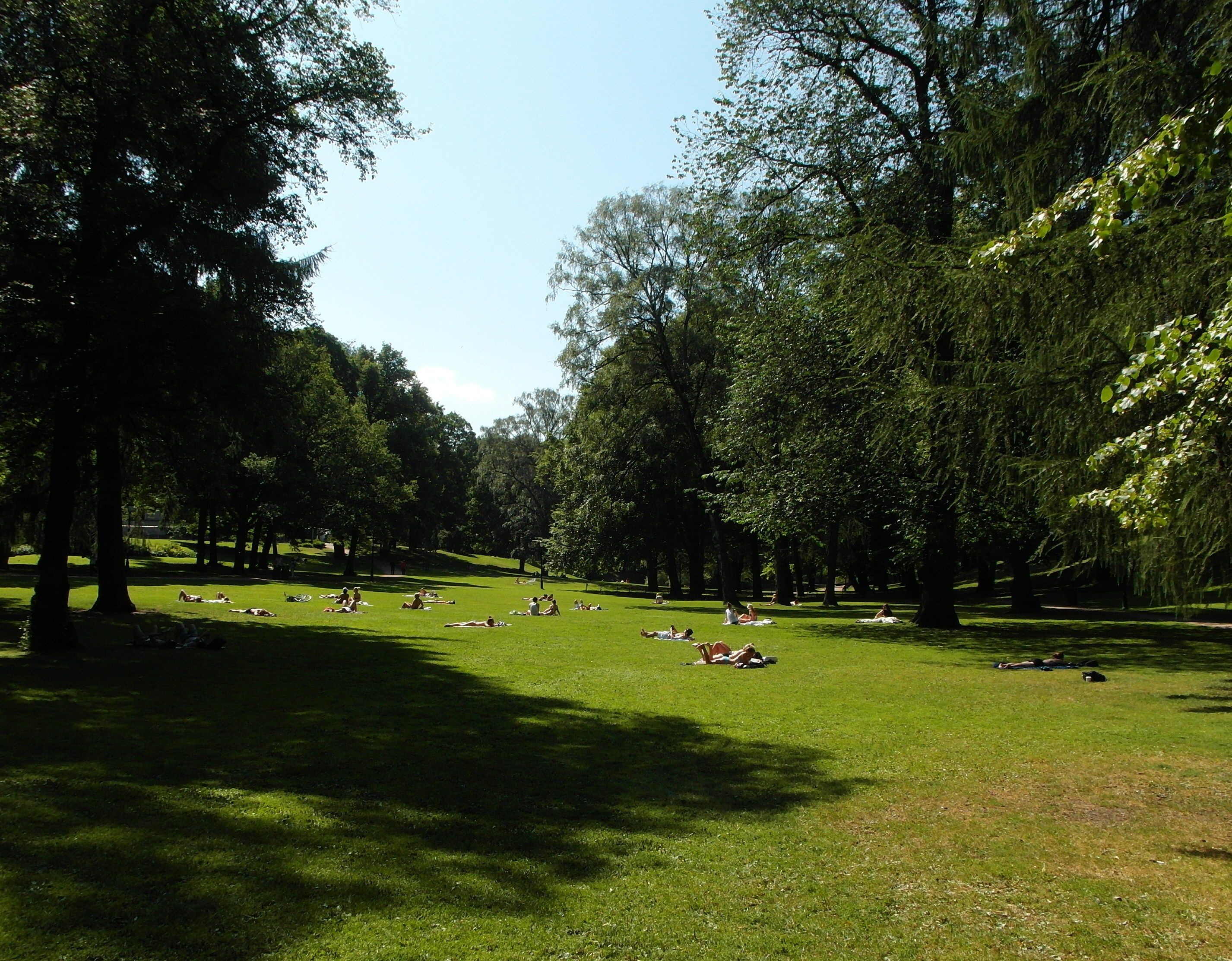 people sitting on the lawn