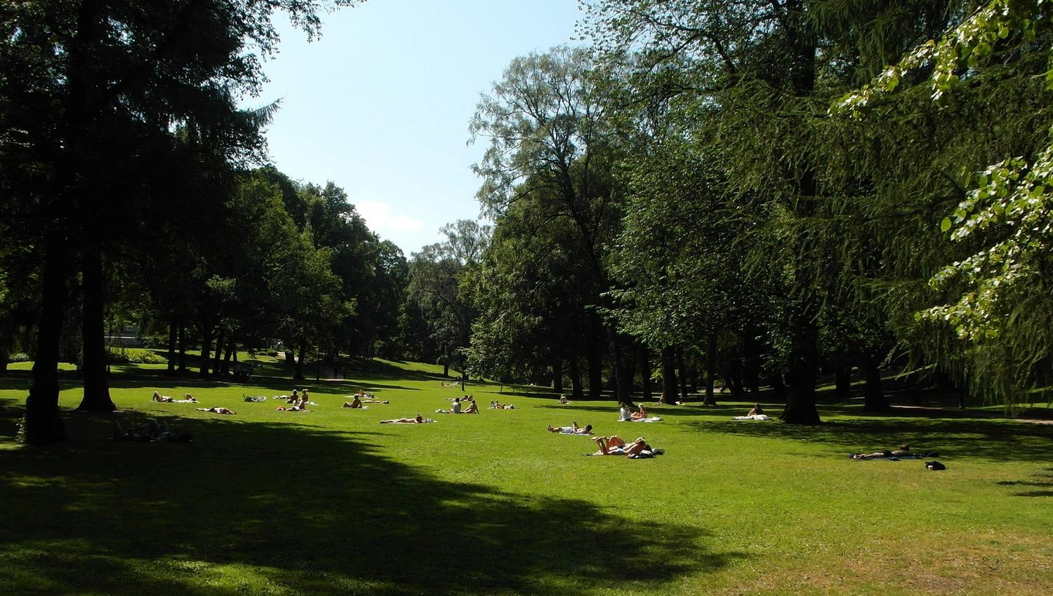 people sitting on the lawn
