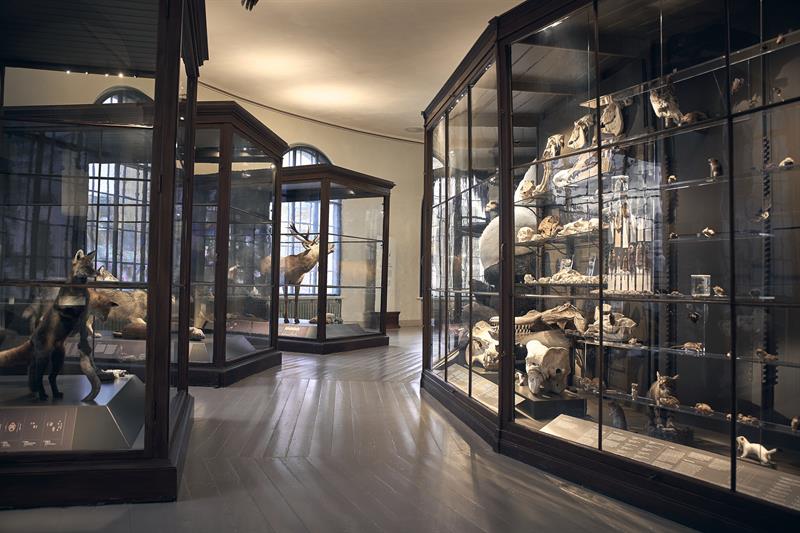 The University Museum of Bergen