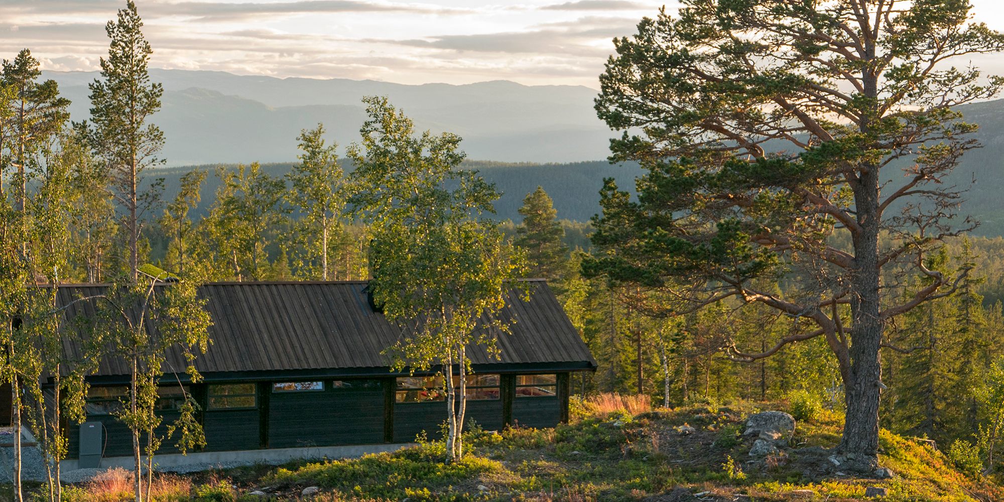 Ålhytta sommer