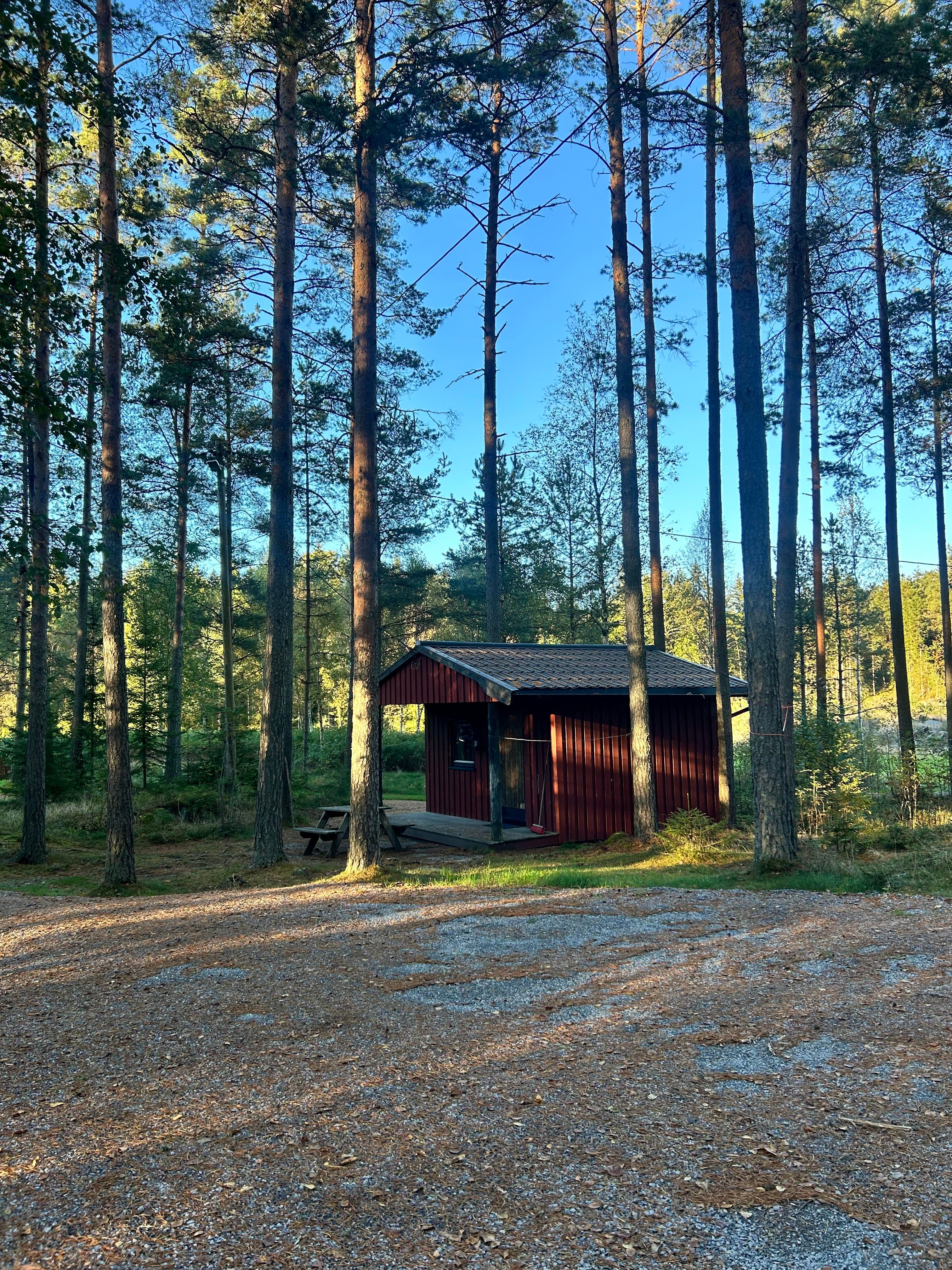 Picture of the whole cabin souurounded by forest