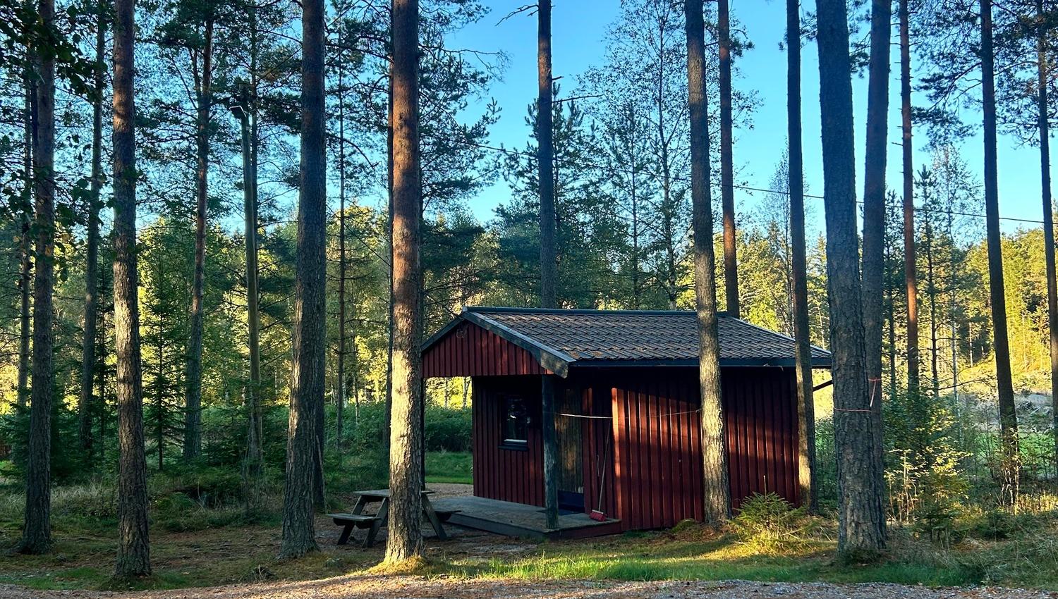 Picture of the whole cabin souurounded by forest