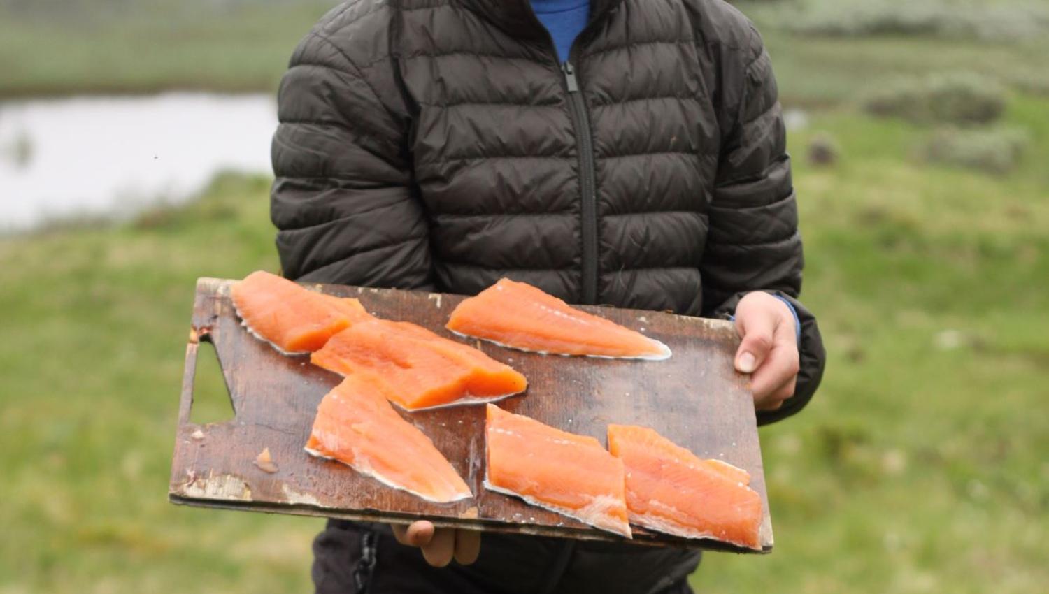 A lot of food in one brown trout!