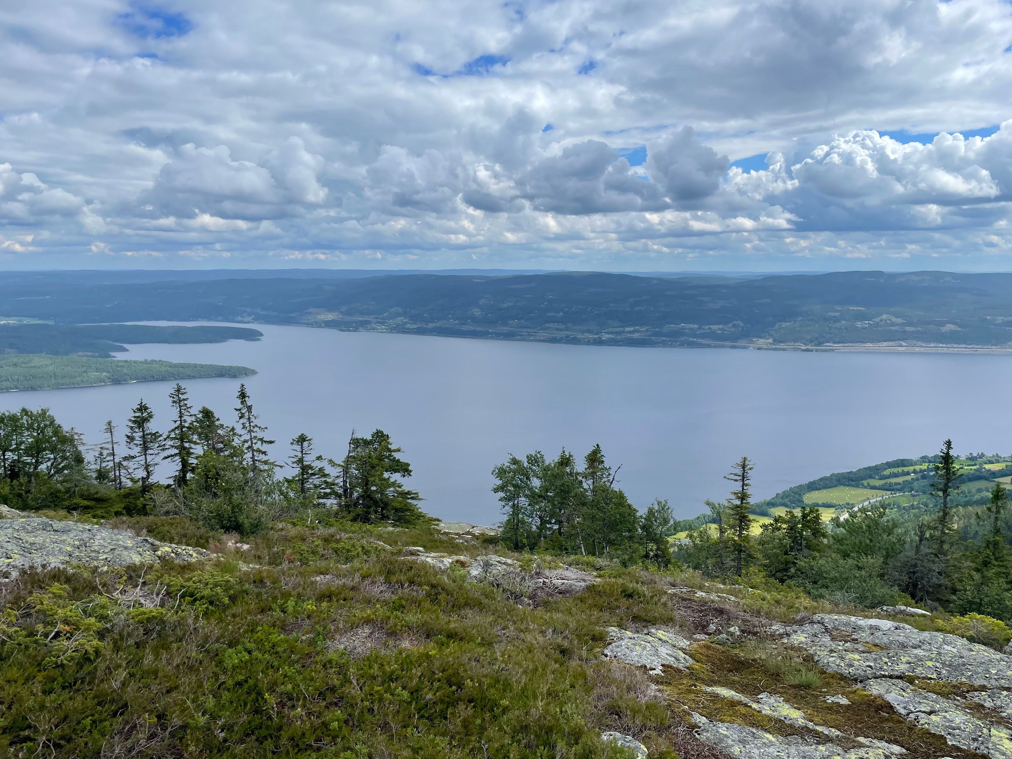 Skreikampen in the summer