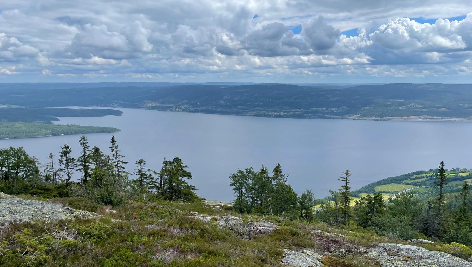 Skreikampen in the summer