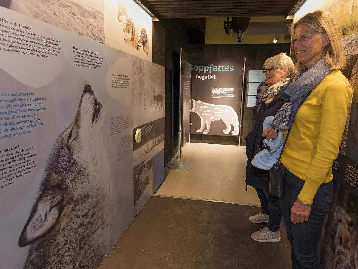 Guided tour at the Norwegian Forest Museum in Elverum