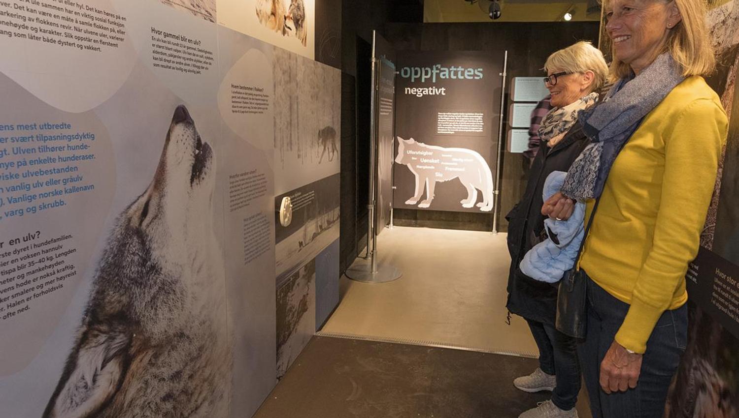Guided tour at the Norwegian Forest Museum in Elverum