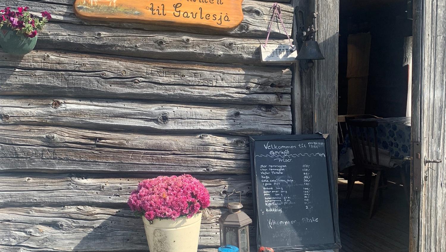 Gavlesjå