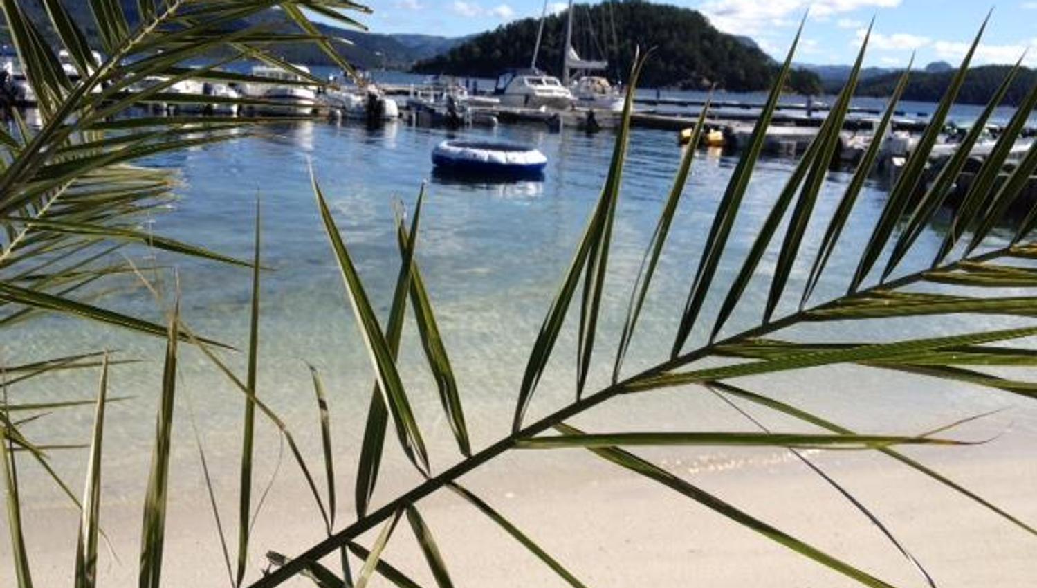 Summer bliss on the islands surrounding Stavanger.