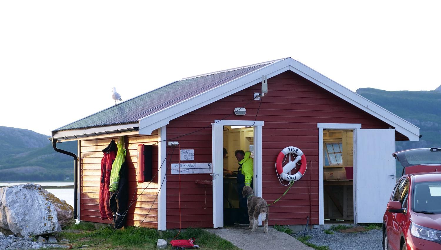 Offersøy camping