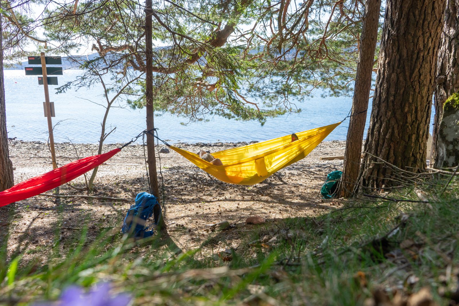 camping with a hammock at Kjeppestadbukta near Drøbak