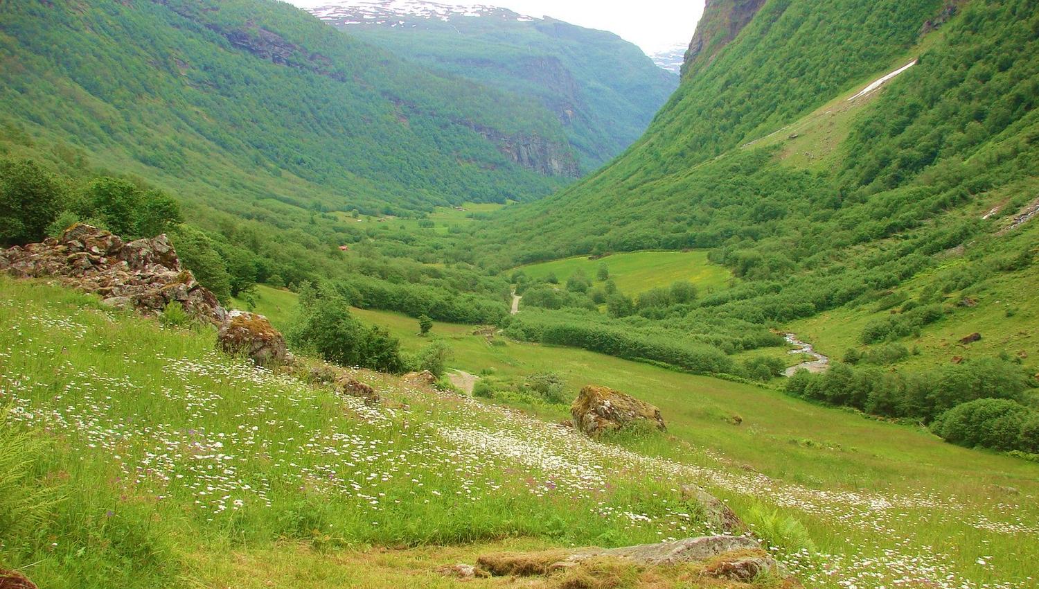 Dalsdalen - Vigdalstøl hiking