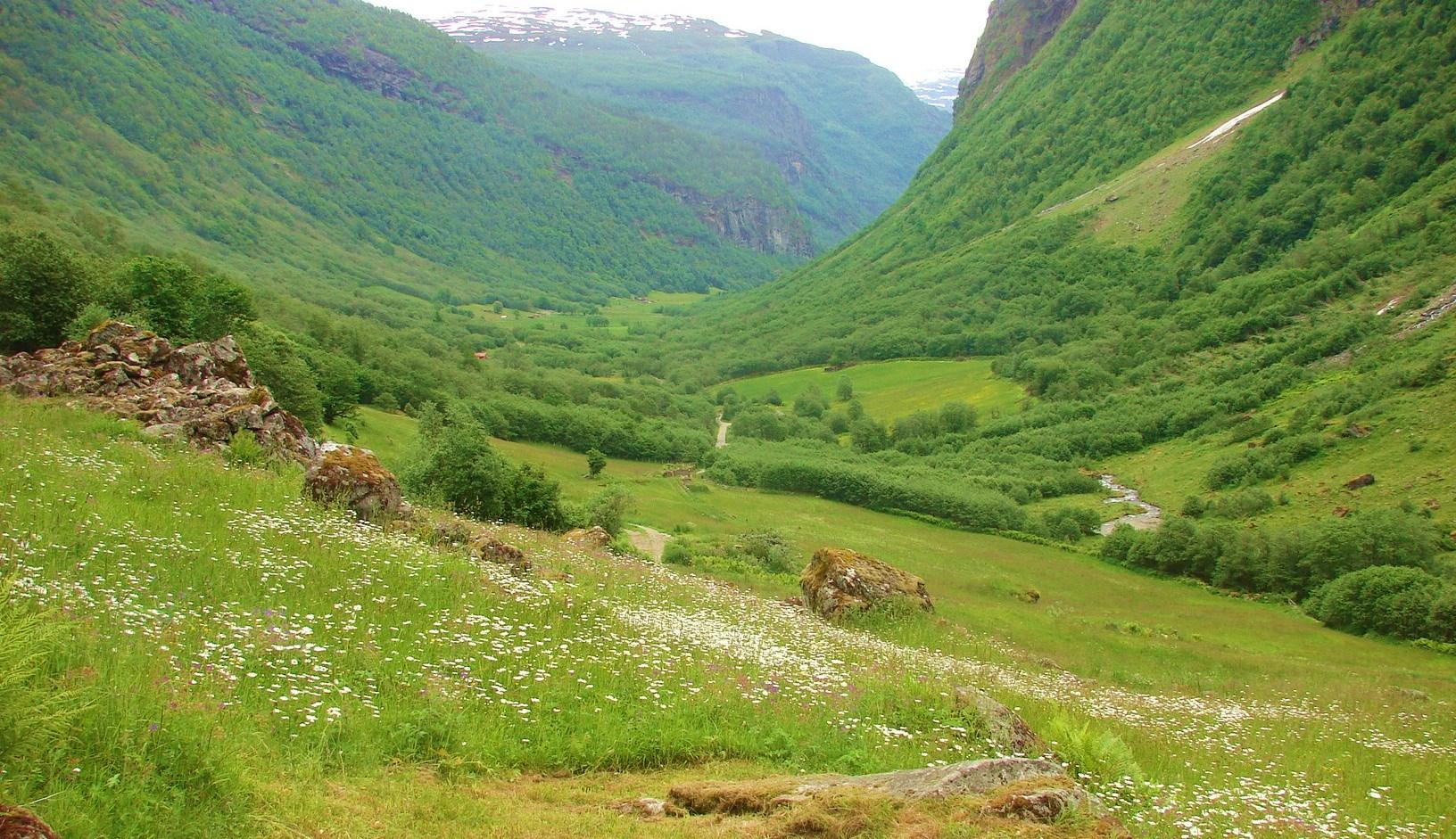 Dalsdalen - Vigdalstøl hiking