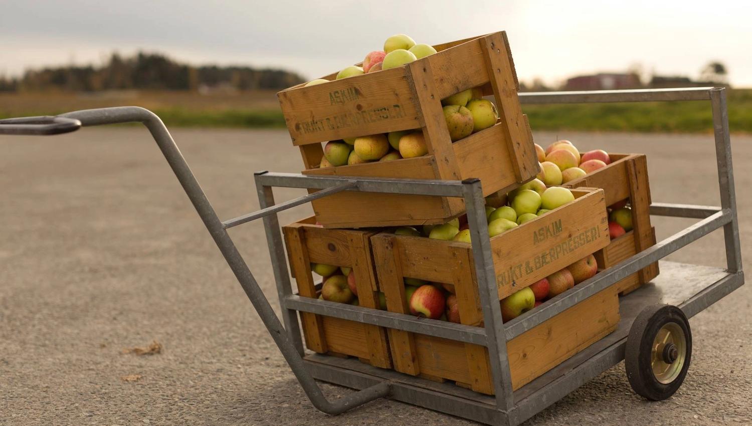A metal cart stands on a farm road carrying several wooden crates filled with apples. The crates are labeled Askim Frukt og Bærpresseri.
