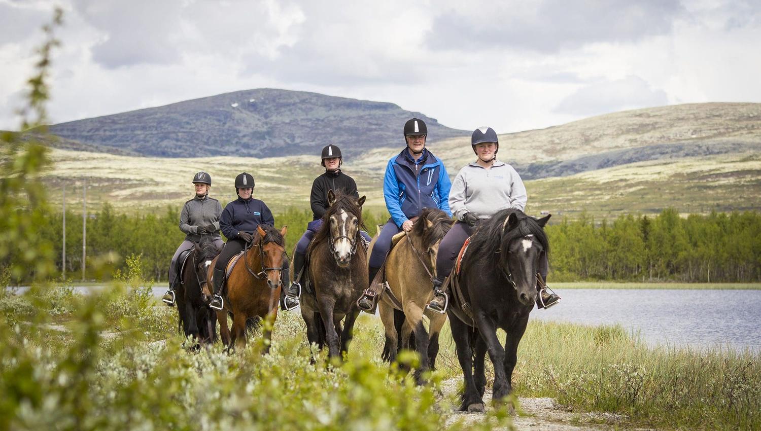 Ridetur på Venabygdsfjellet