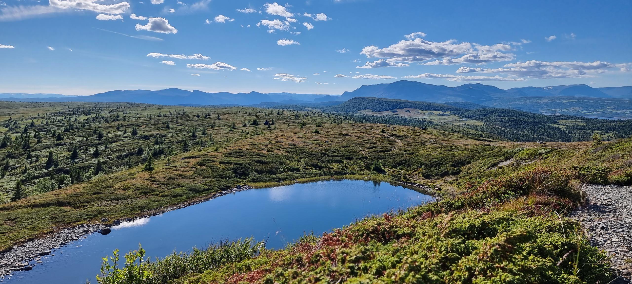 20220728_175926