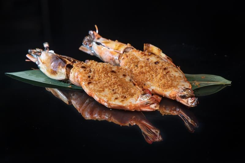 Tigerscampi på sort bakgrunn.