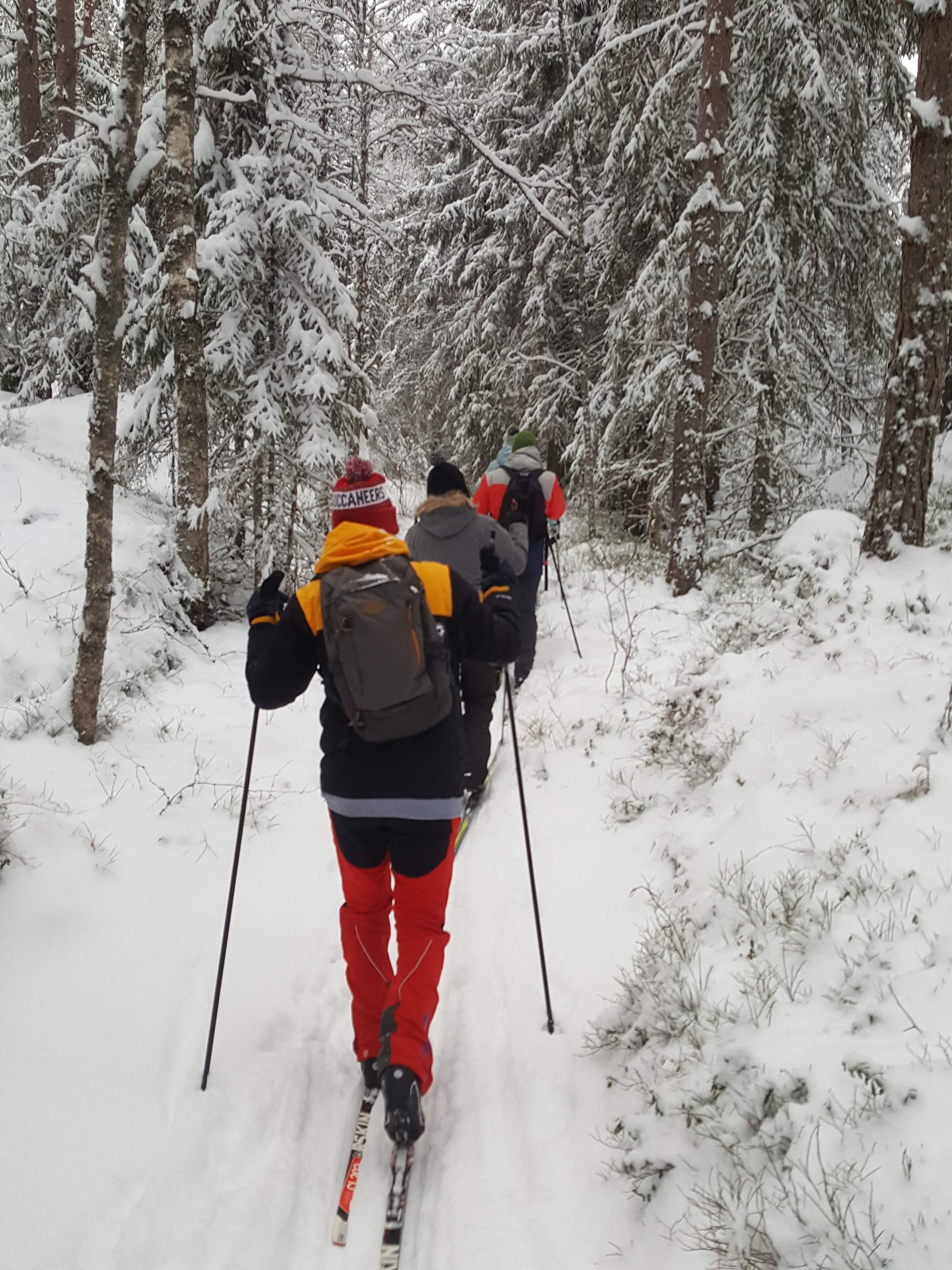 Mennesker som går på ski inn i skogen
