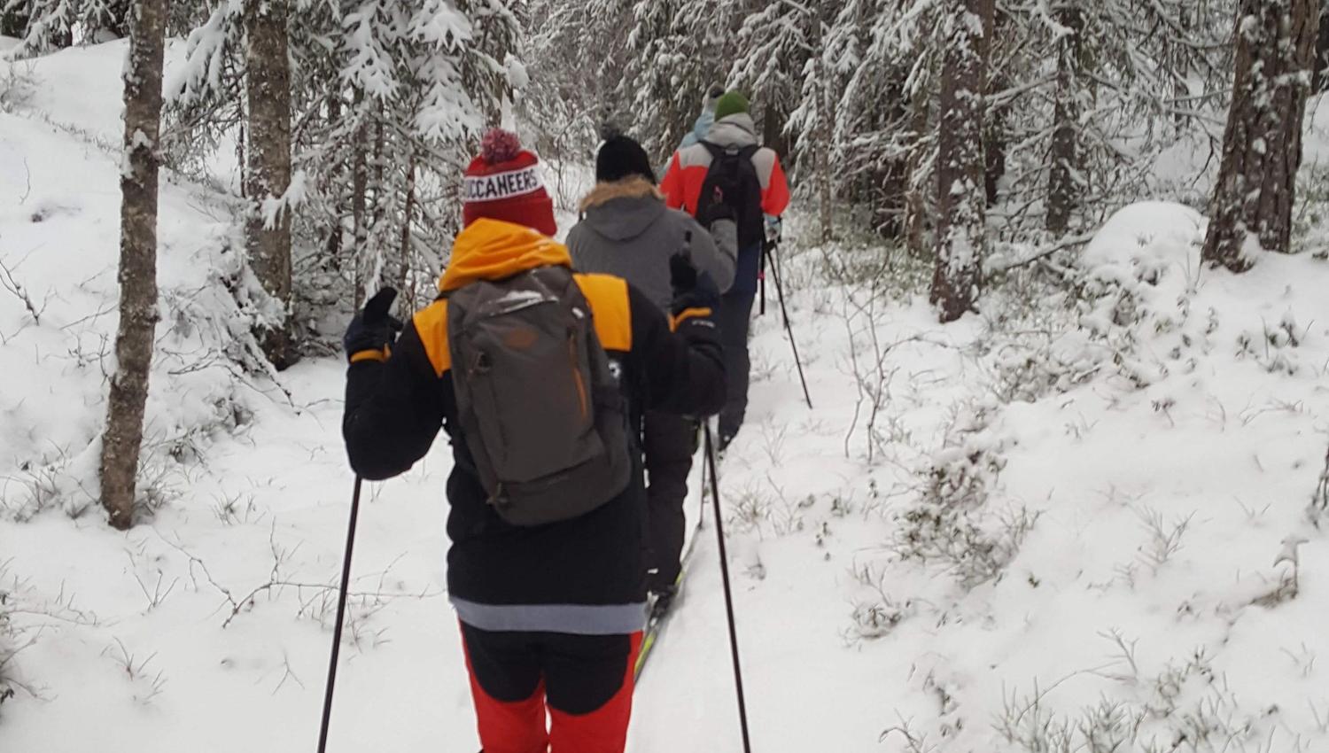 Mennesker som går på ski inn i skogen