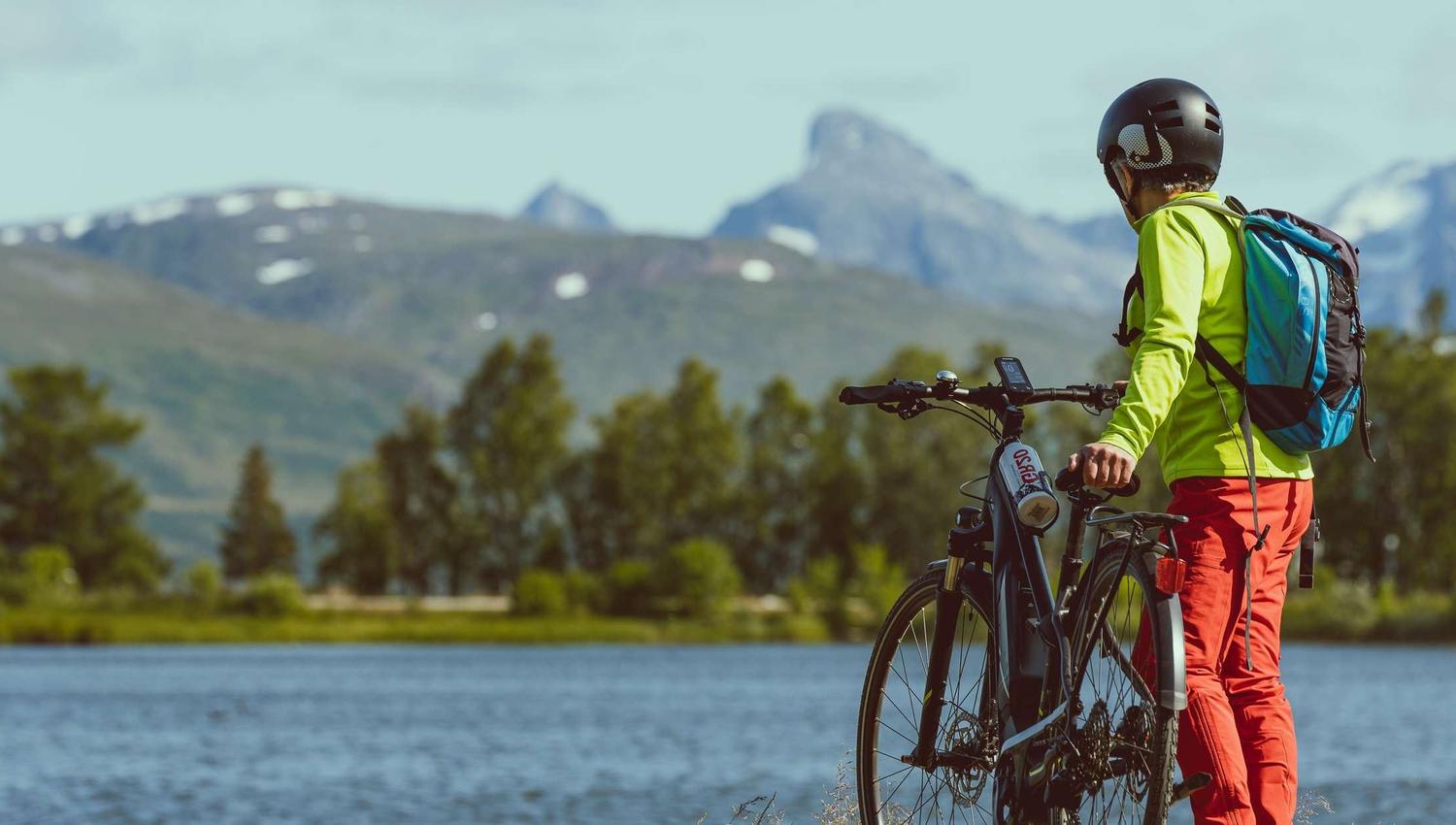 Gjest og Prestvannet i bakgrunnen