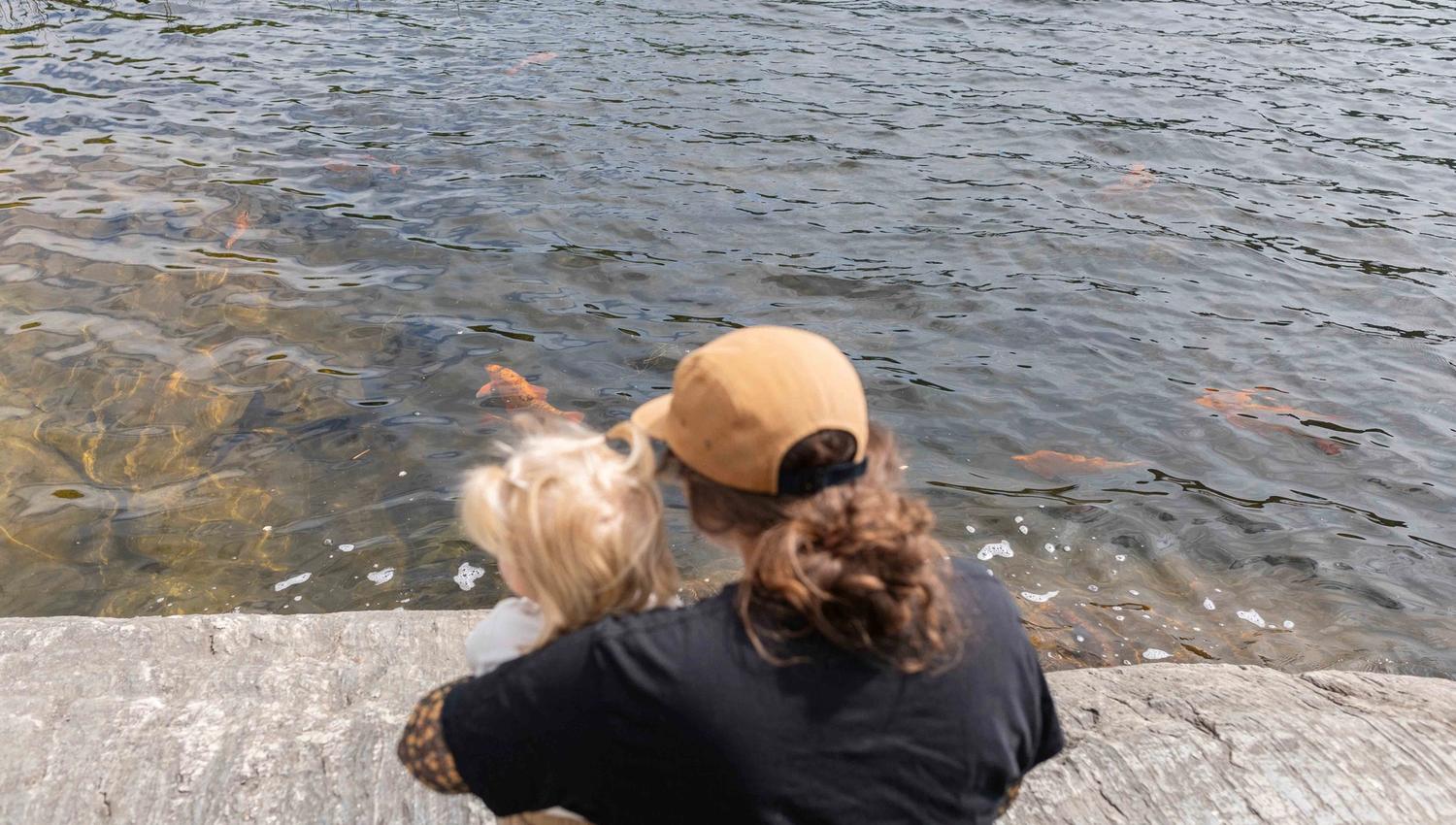 Eit barn og ein vaksen sit ved kanten av Gullfiskvatnet og ser på gullfiskane som symjer i vatnet.