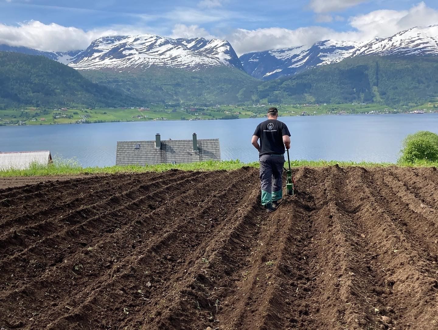 A person plows furrowed soil in a field overlooking a lake, with green hills and snow-capped mountains beyond.