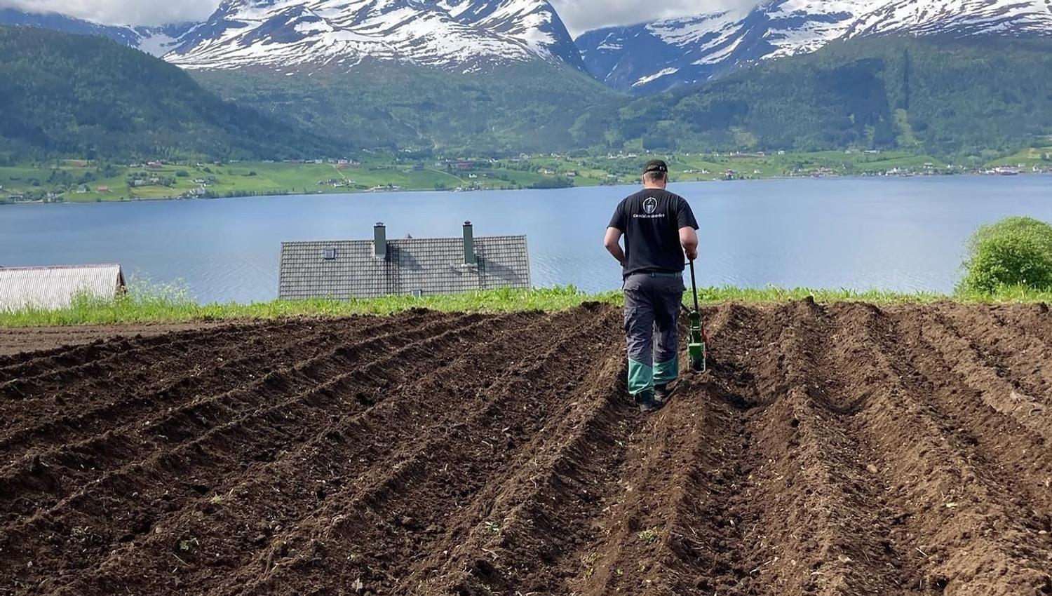 A person plows furrowed soil in a field overlooking a lake, with green hills and snow-capped mountains beyond.