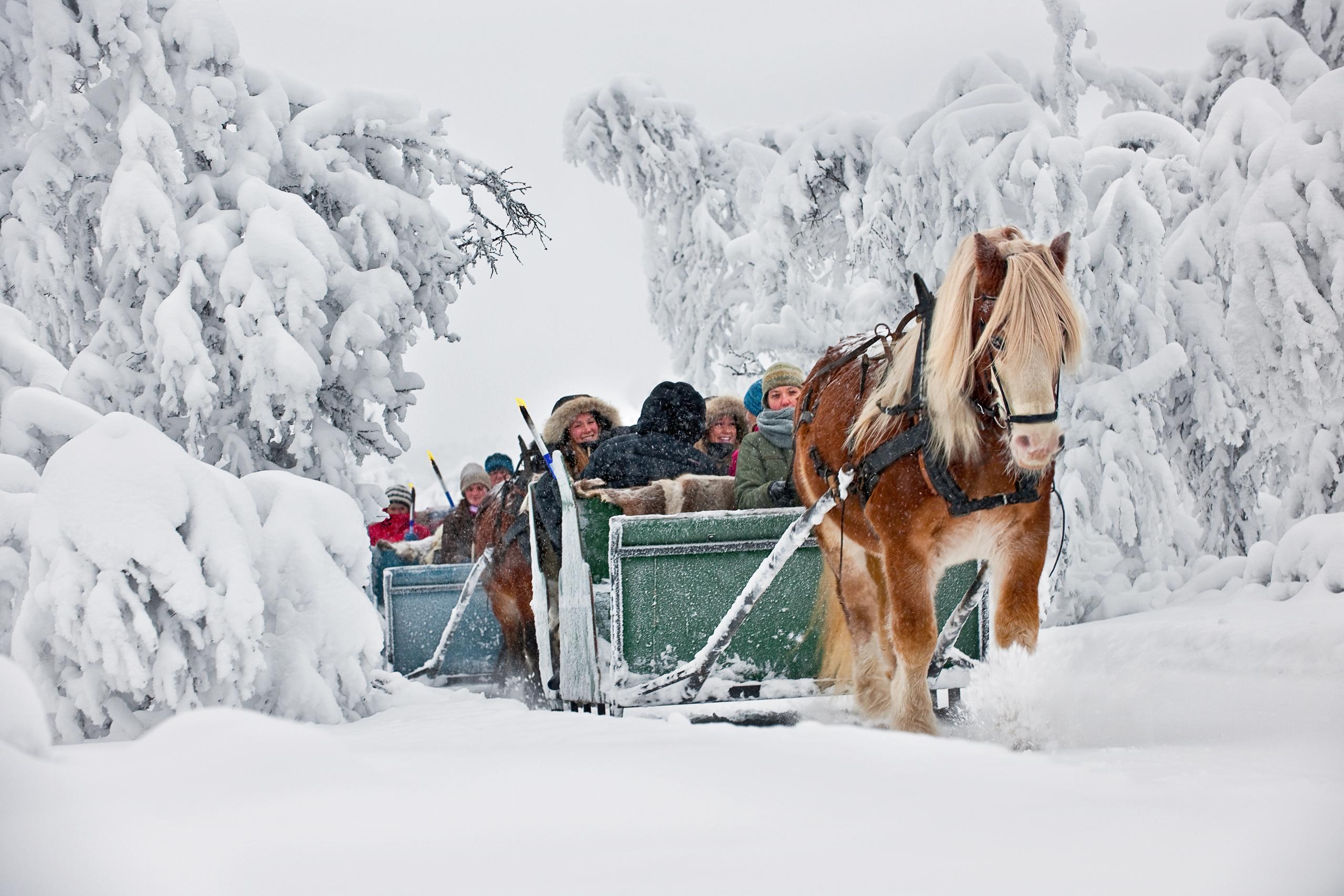 Kanefart på Venabu Fjellhotell