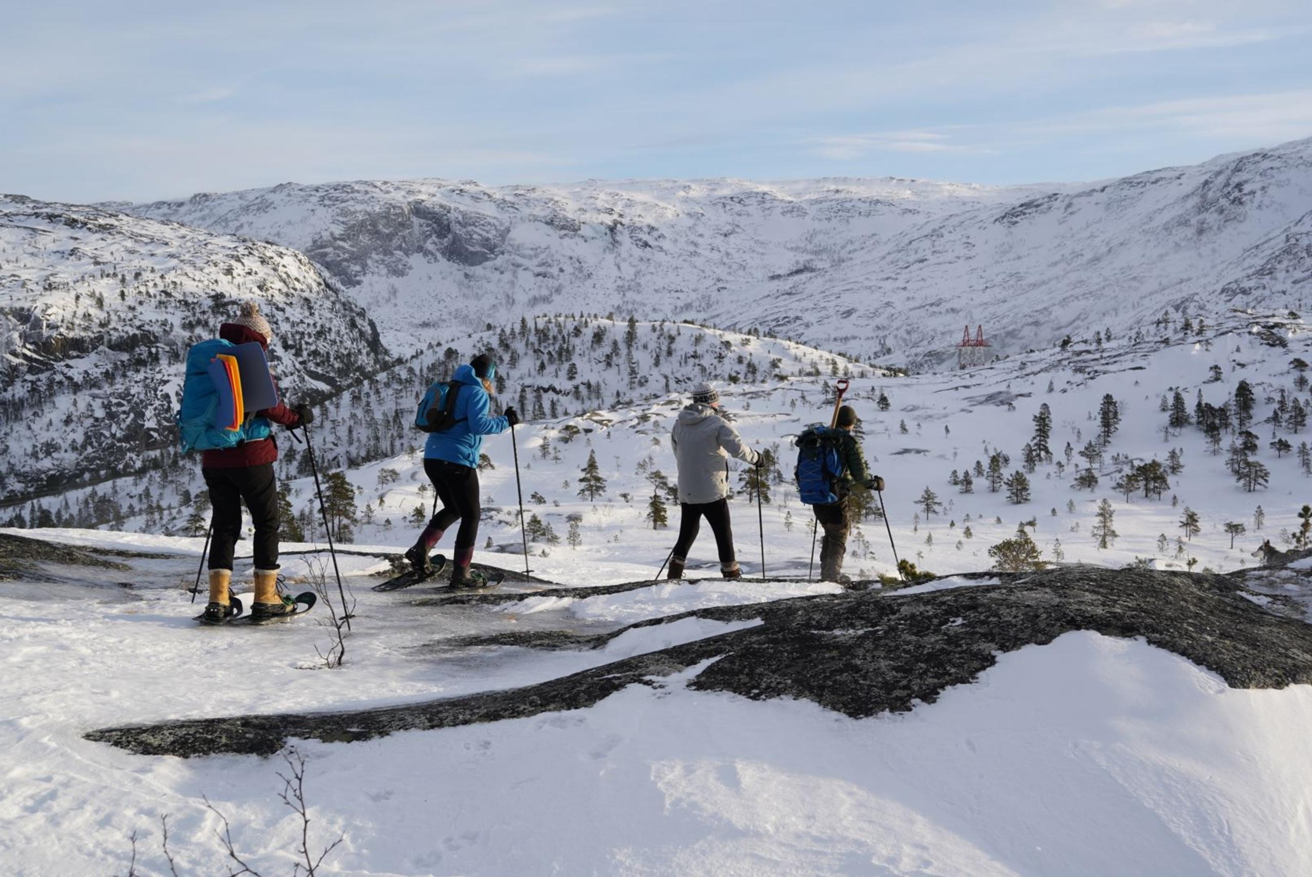 Four hikers on snowshoes stand on a snowy ridge with poles, overlooking a mountain valley under a clear sky.