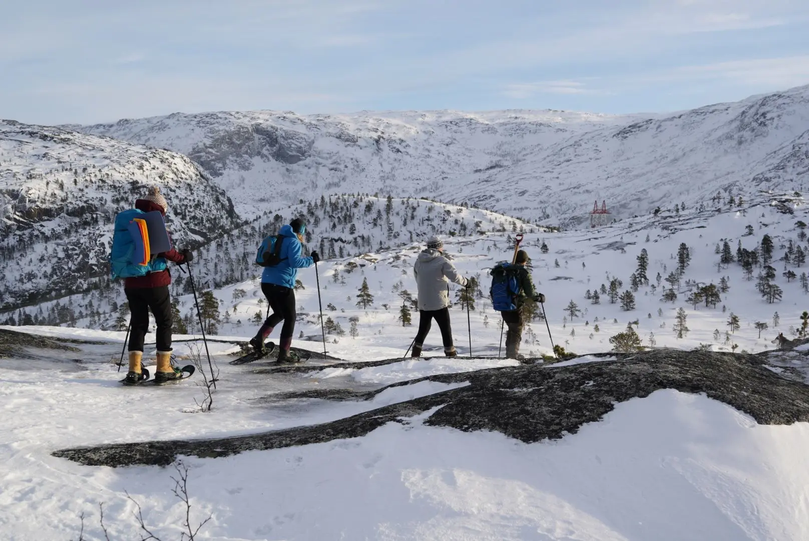 Four hikers on snowshoes stand on a snowy ridge with poles, overlooking a mountain valley under a clear sky.
