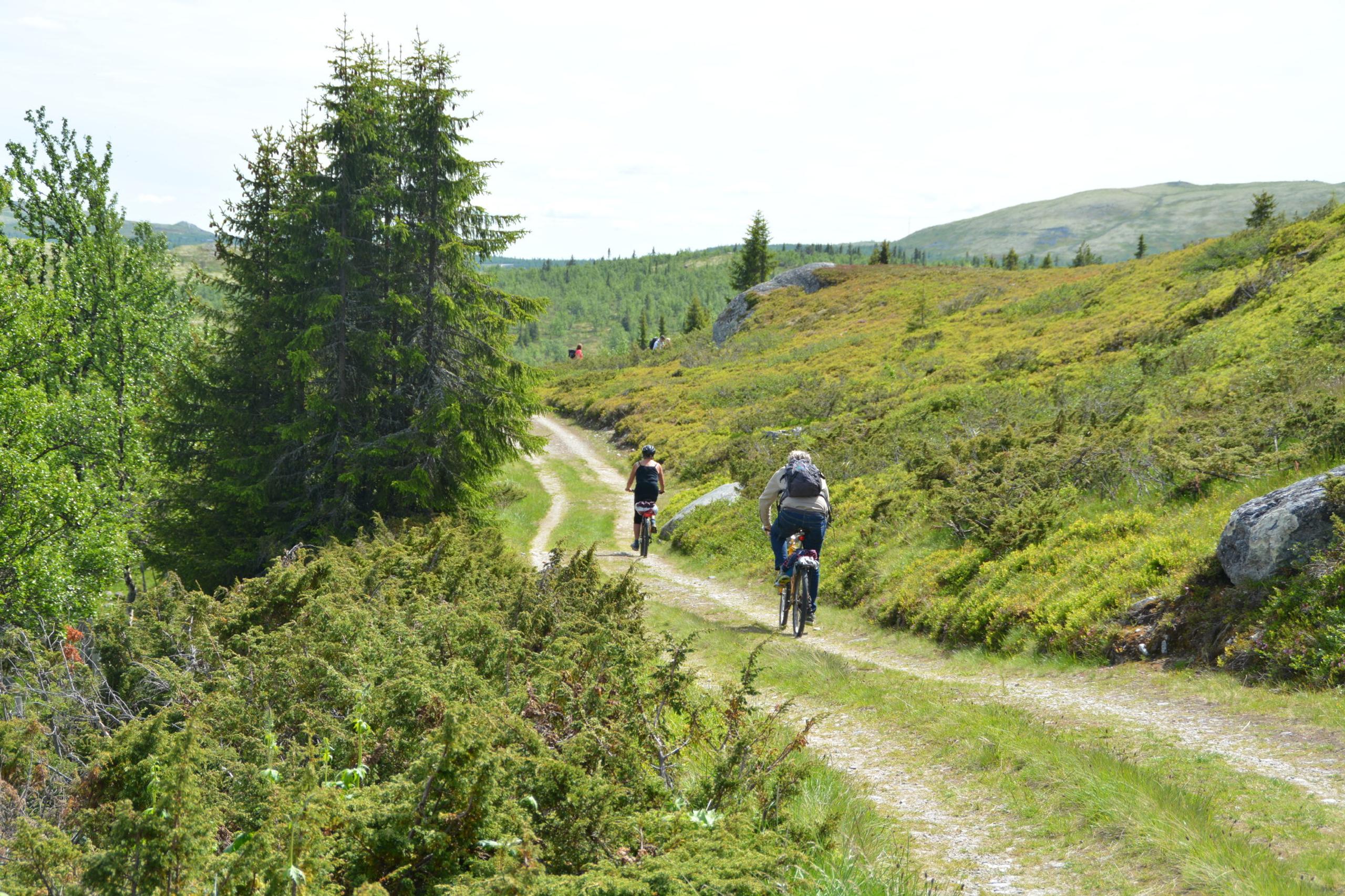 Sykling på grusveg Svartfjell Foto Julia Hamre_preview