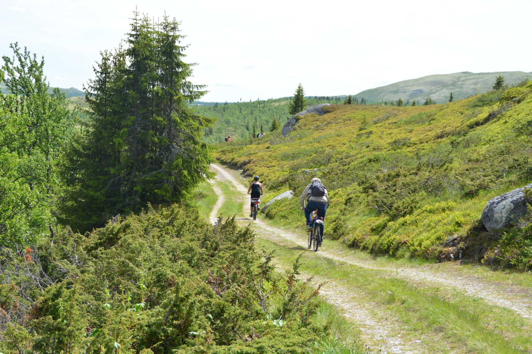Sykling på grusveg Svartfjell Foto Julia Hamre_preview