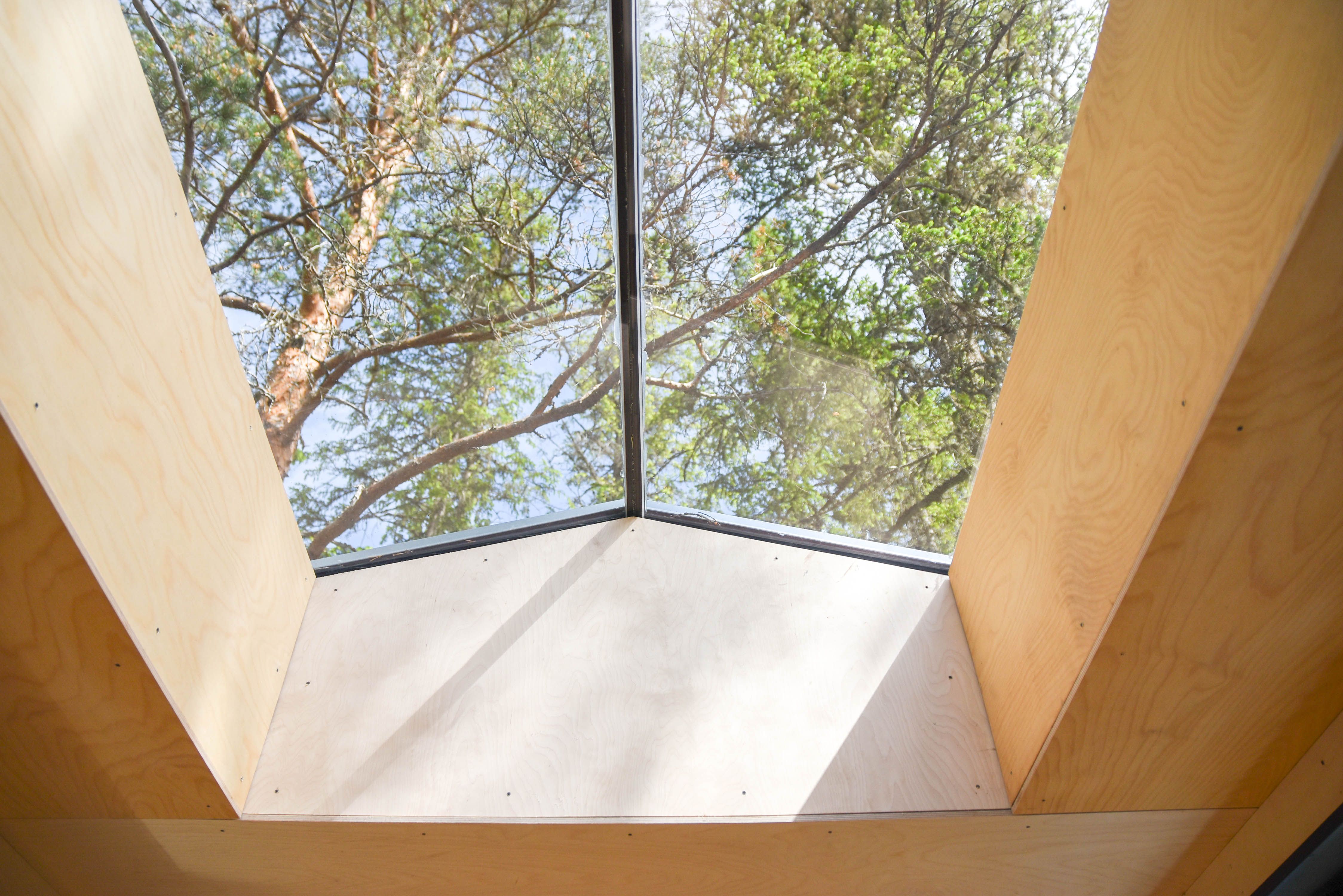 Look through the glass roof in the treetop cabins at Å Camp