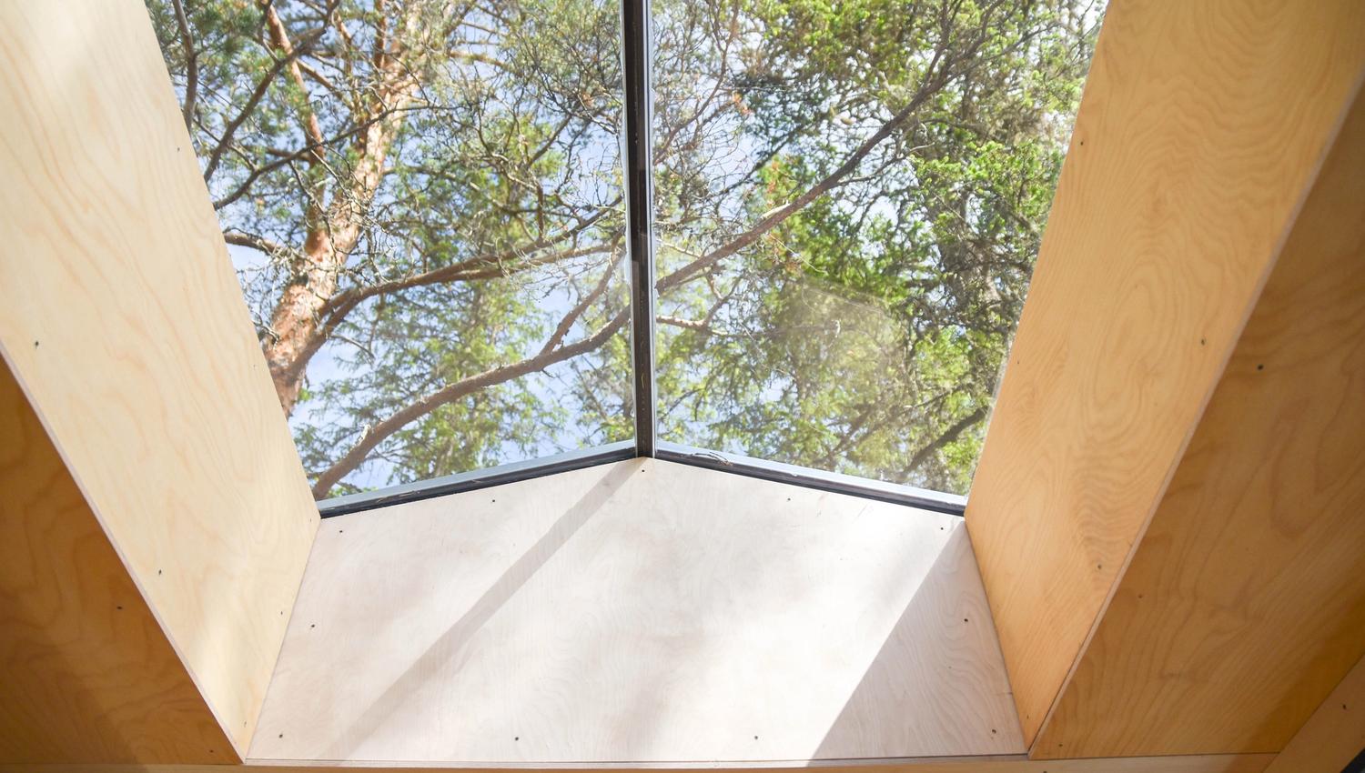 Look through the glass roof in the treetop cabins at Å Camp