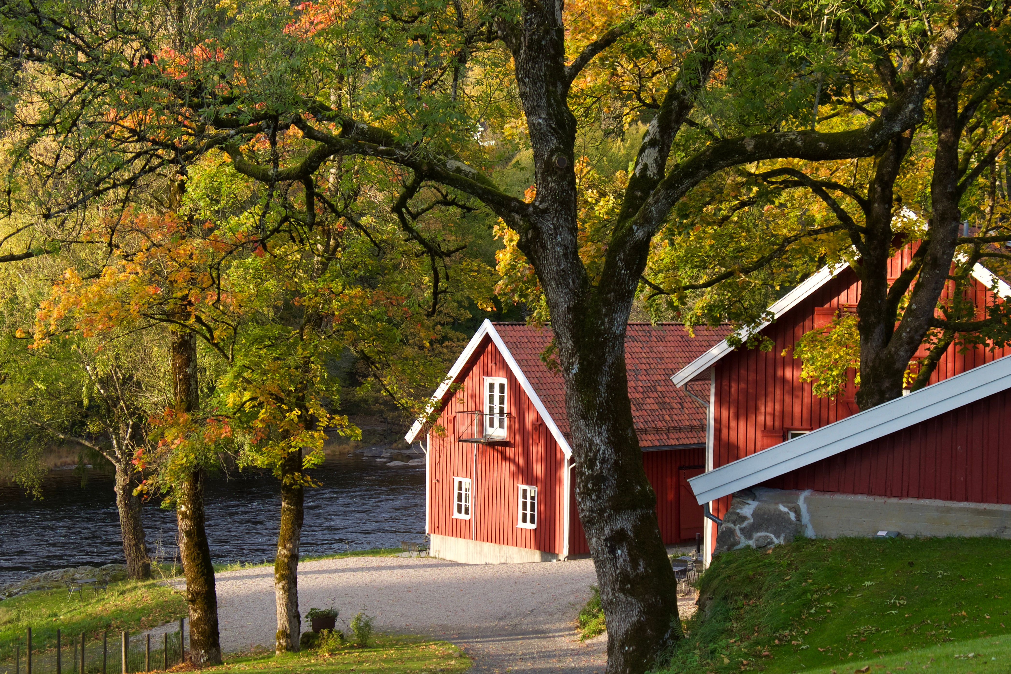 Høstfarger