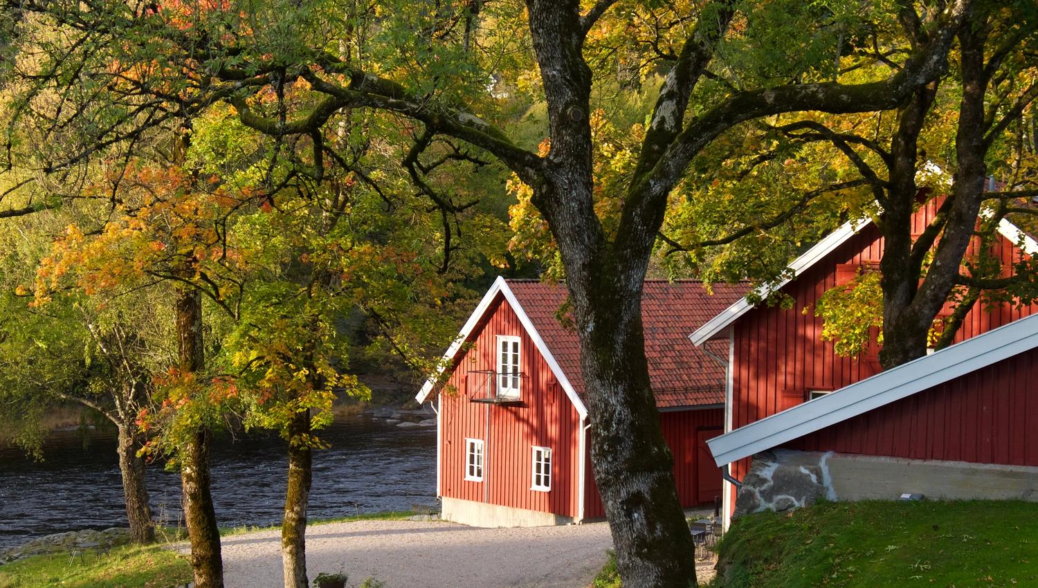 Høstfarger
