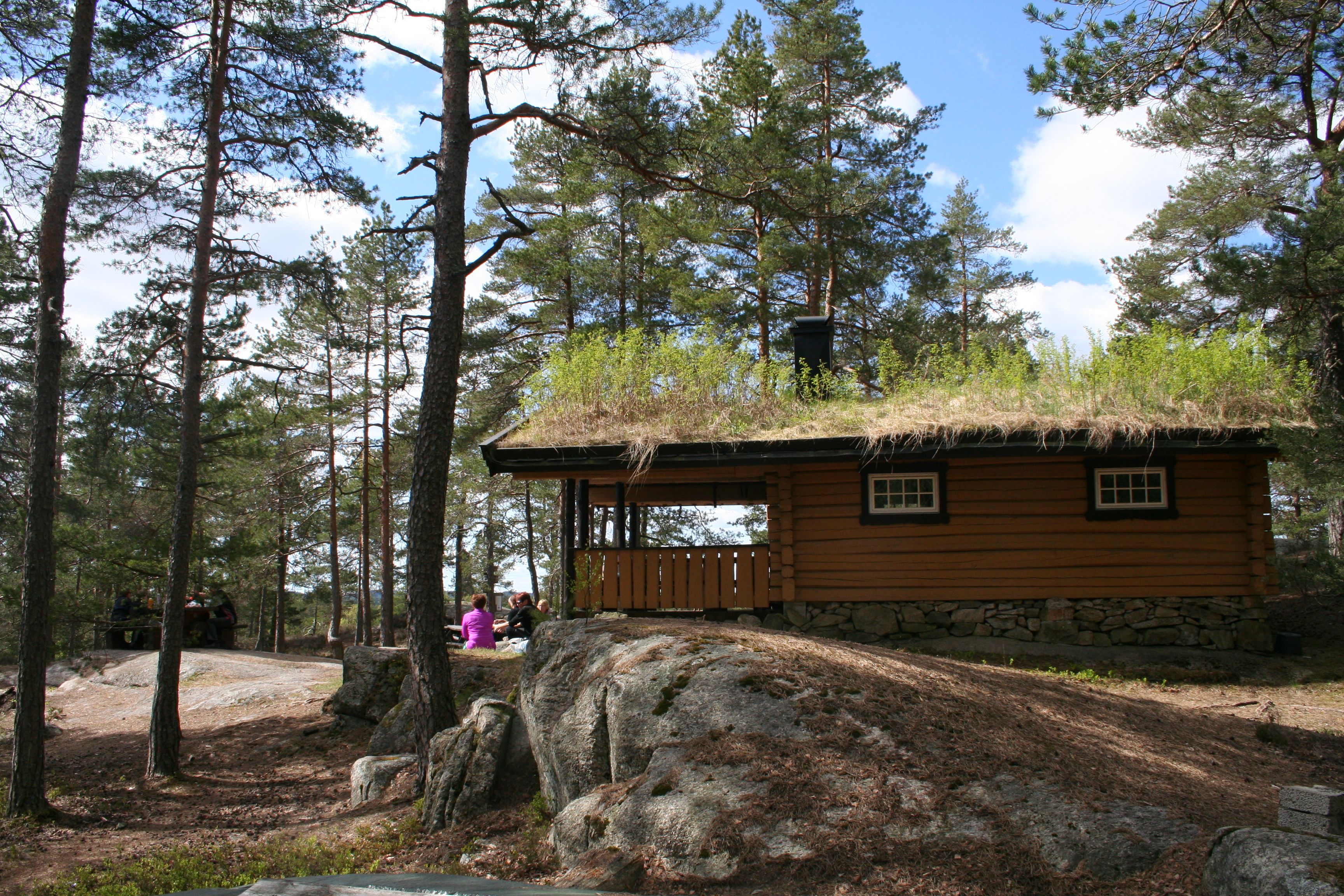 Hytte med torvtak