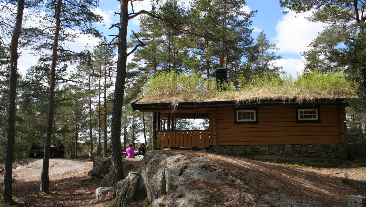Hytte med torvtak