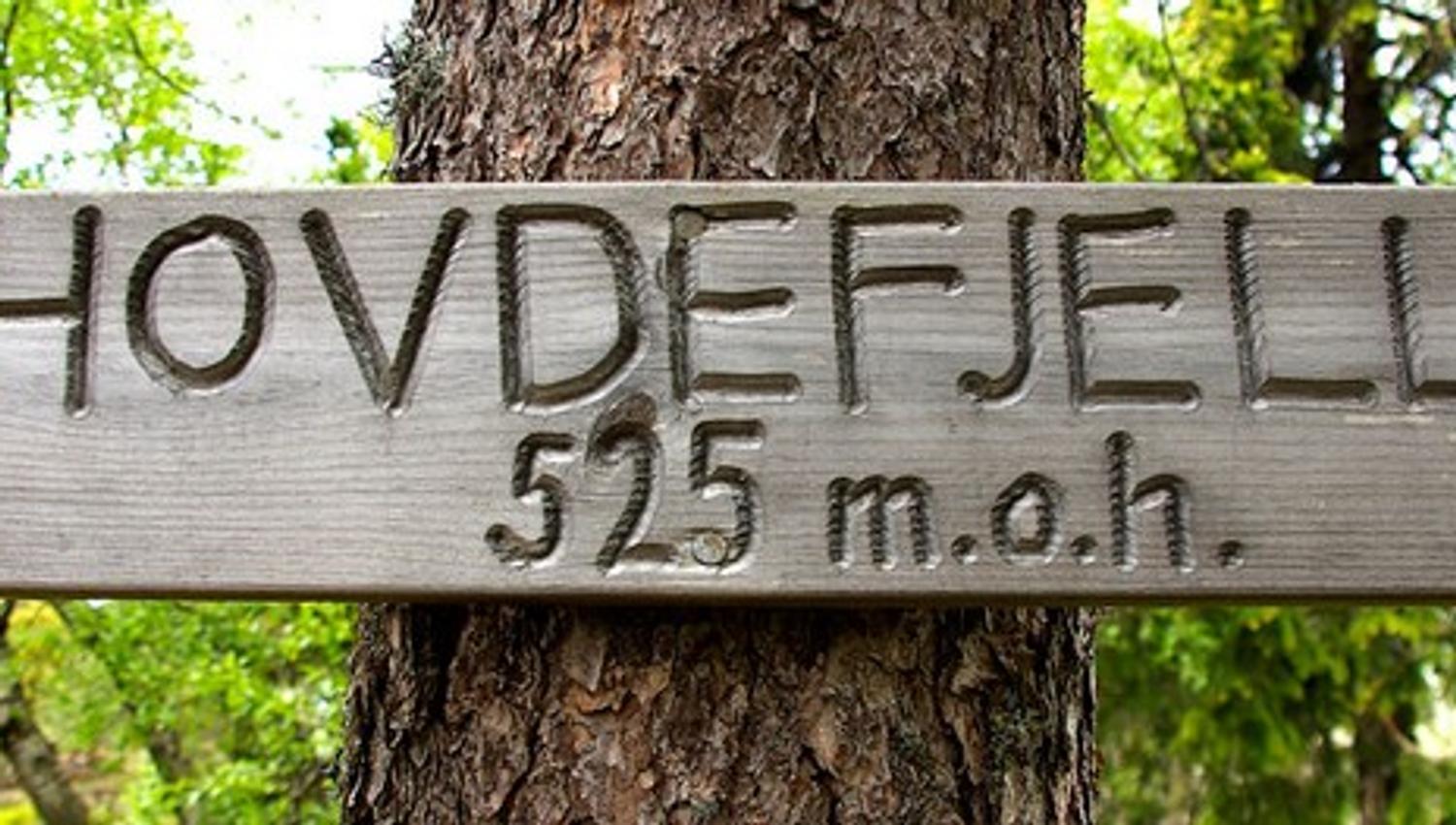 Vegårshei