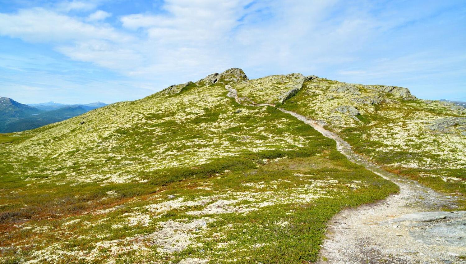 Svartfjellrunden