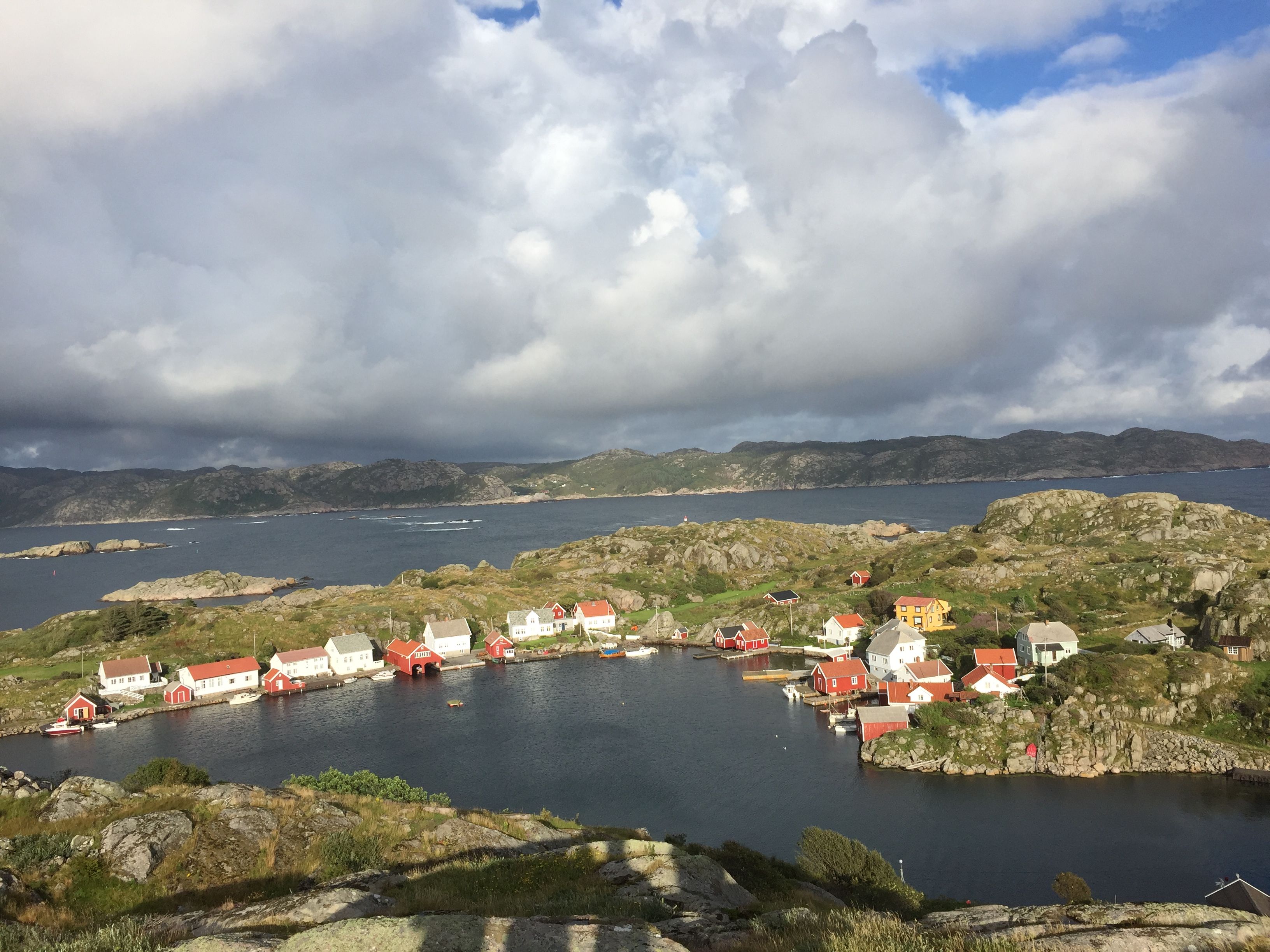 Sælør