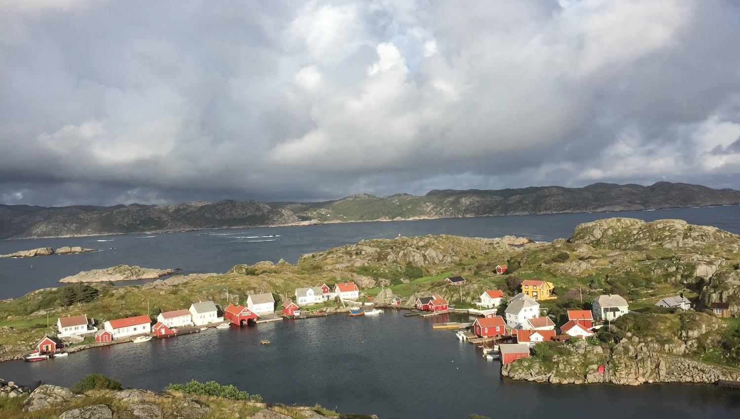 Sælør