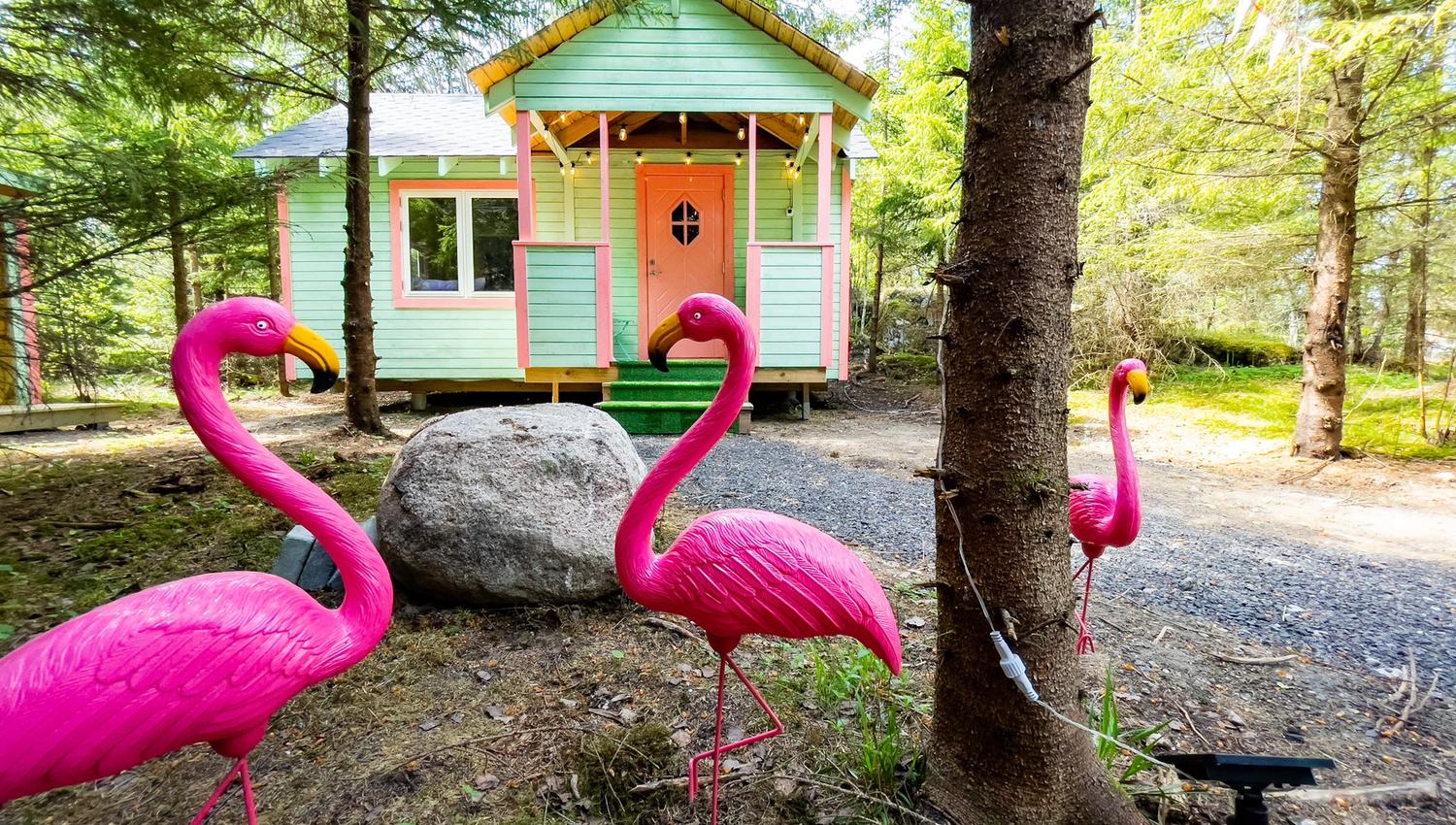 hytte til overnatting i pastellfarger med plastikk-flamingoer på utsiden