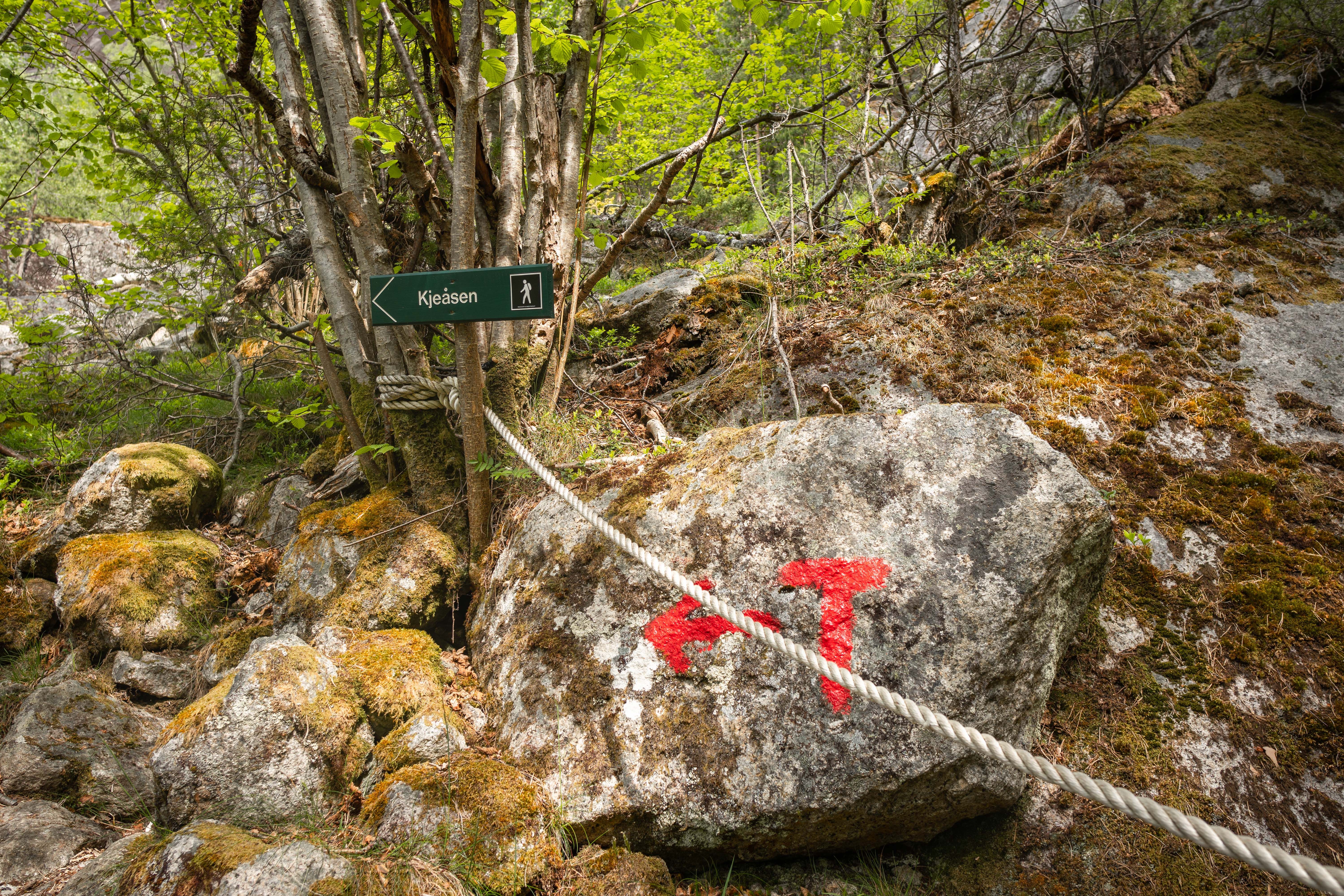 A t-marked rock and a signpost to Kjeåsen.
