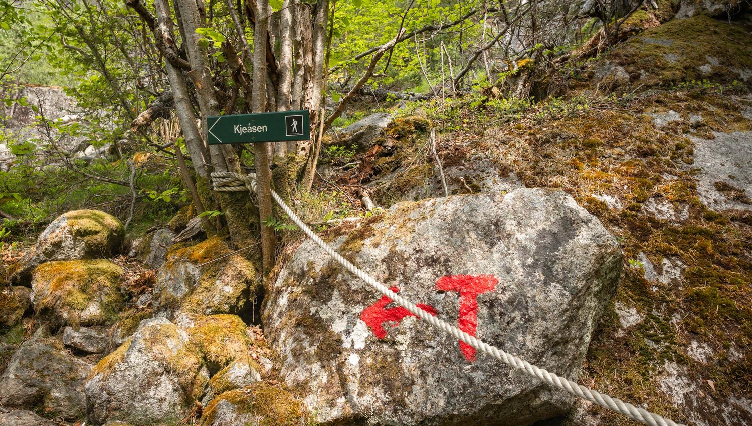 A t-marked rock and a signpost to Kjeåsen.