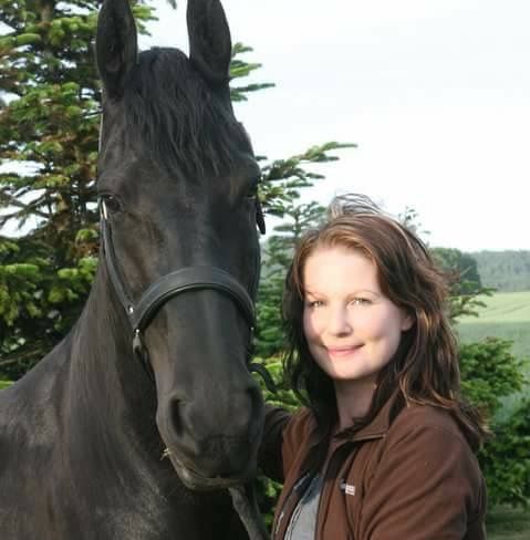 Horse and lady