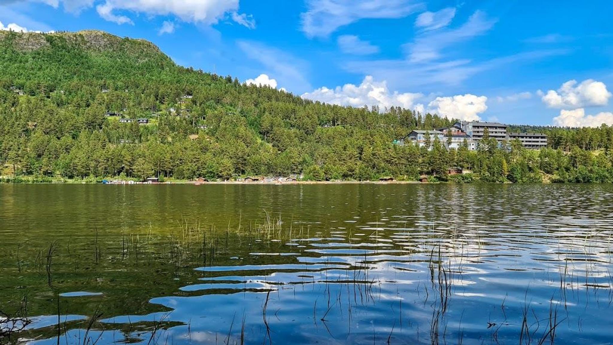Accommodation Savalen Fjellhotell