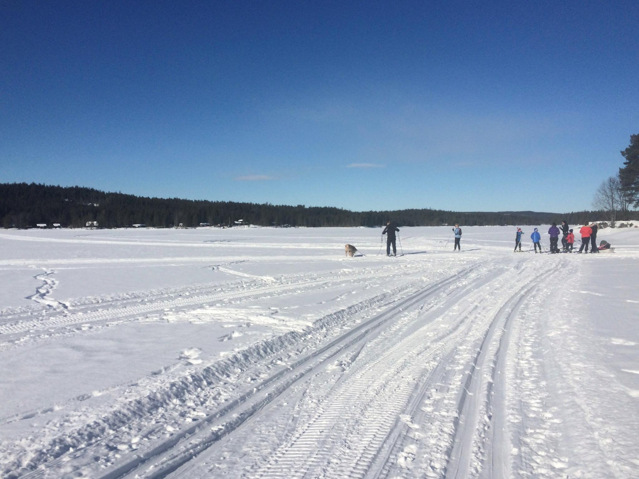 Cross-country skiing trails from Osbakken and lake Skumsjøen