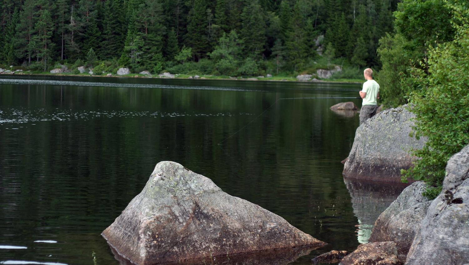 kleivvannet